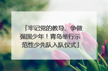 牢记党的教导、争做强国少年！青岛举行示范性少先队入队仪式