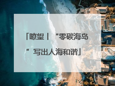 瞭望丨“零碳海岛”写出人海和谐
