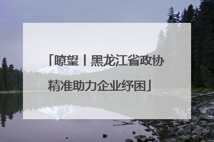 瞭望丨黑龙江省政协精准助力企业纾困