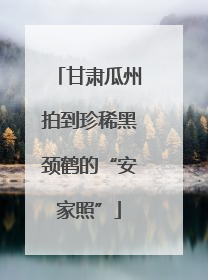 甘肃瓜州拍到珍稀黑颈鹤的“安家照”