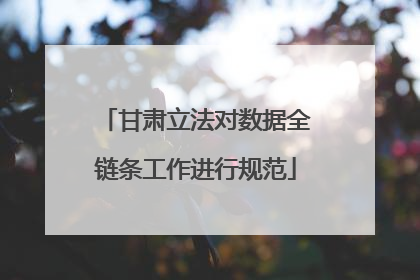 甘肃立法对数据全链条工作进行规范