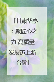 甘肃华亭：聚匠心之力 高质量发展迈上新台阶