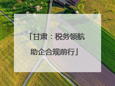 甘肃：税务领航 助企合规前行