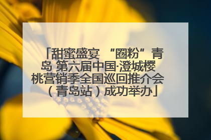 甜蜜盛宴 “圈粉”青岛 第六届中国·澄城樱桃营销季全国巡回推介会（青岛站）成功举办