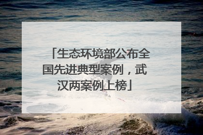 生态环境部公布全国先进典型案例，武汉两案例上榜