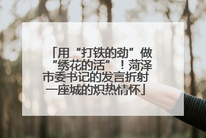 用“打铁的劲”做“绣花的活”！菏泽市委书记的发言折射一座城的炽热情怀
