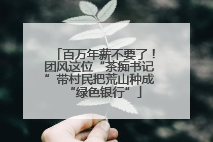 百万年薪不要了！团风这位“茶痴书记”带村民把荒山种成“绿色银行”