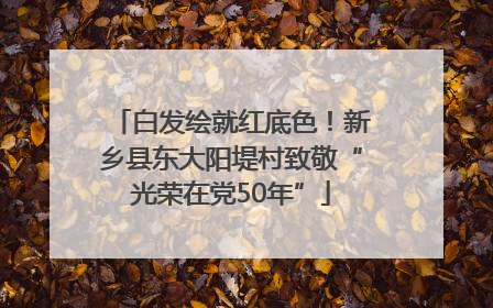 白发绘就红底色！新乡县东大阳堤村致敬“光荣在党50年”
