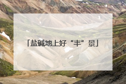 盐碱地上好“丰”景