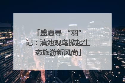盛夏寻 “羽” 记：滇池观鸟掀起生态旅游新风尚