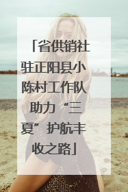 省供销社驻正阳县小陈村工作队 助力“三夏”护航丰收之路