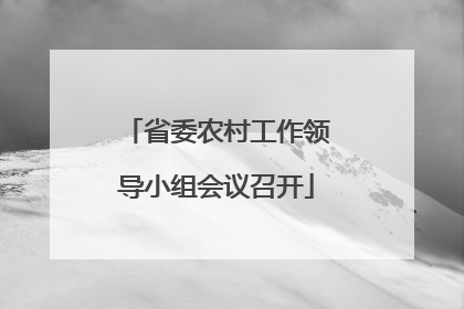 省委农村工作领导小组会议召开