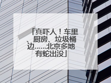 真吓人！车里、厨房、垃圾桶边……北京多地有蛇出没
