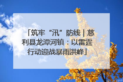 筑牢“汛”防线｜慈利县龙潭河镇：以雷霆行动迎战暴雨洪峰