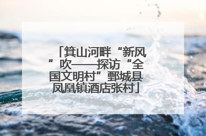 箕山河畔“新风”吹——探访“全国文明村”鄄城县凤凰镇酒店张村