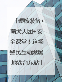 硬核装备+萌犬天团+安全课堂！这场警民互动燃爆地铁台东站