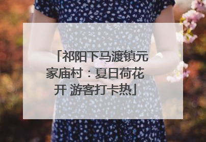 祁阳下马渡镇元家庙村：夏日荷花开 游客打卡热