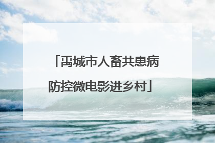 禹城市人畜共患病防控微电影进乡村