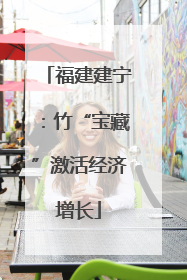 福建建宁：竹“宝藏”激活经济增长