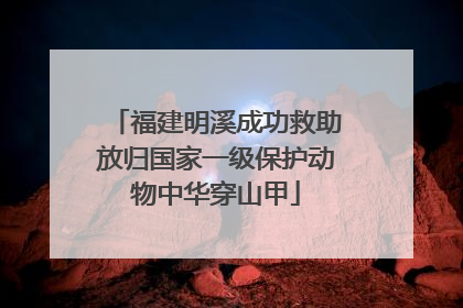 福建明溪成功救助放归国家一级保护动物中华穿山甲