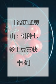 福建武夷山：引种七彩土豆喜获丰收