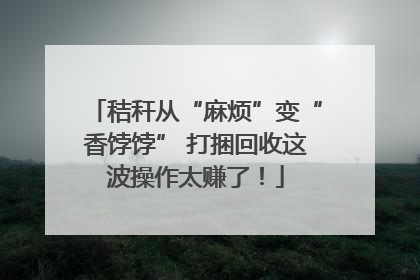 秸秆从“麻烦”变“香饽饽” 打捆回收这波操作太赚了！