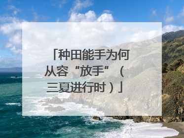 种田能手为何从容“放手”（三夏进行时）