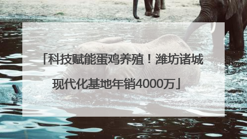 科技赋能蛋鸡养殖！潍坊诸城现代化基地年销4000万