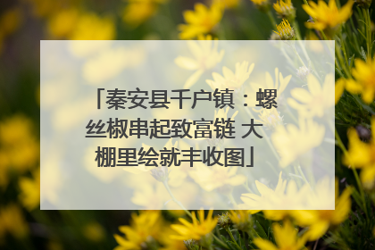 秦安县千户镇：螺丝椒串起致富链 大棚里绘就丰收图