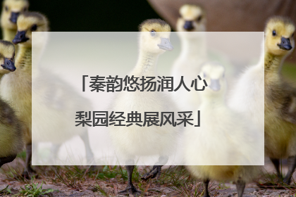 秦韵悠扬润人心 梨园经典展风采