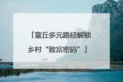 章丘多元路径解锁乡村“致富密码”