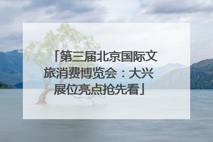 第三届北京国际文旅消费博览会：大兴展位亮点抢先看