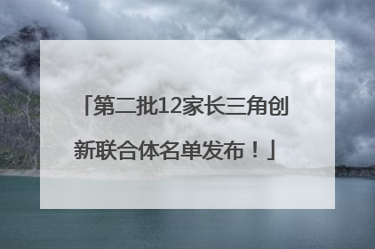 第二批12家长三角创新联合体名单发布！