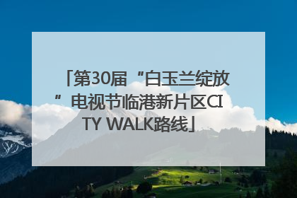 第30届“白玉兰绽放”电视节临港新片区CITY WALK路线