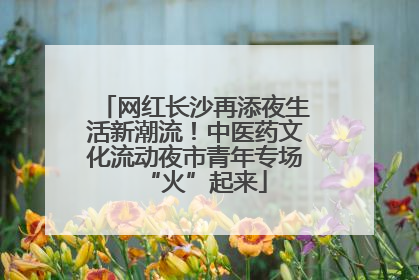 网红长沙再添夜生活新潮流！中医药文化流动夜市青年专场“火”起来