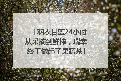 羽衣甘蓝24小时从采摘到鲜榨，瑞幸终于做起了果蔬茶
