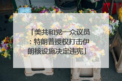 美共和党一众议员：特朗普授权打击伊朗核设施决定违宪