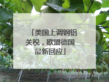 美国上调钢铝关税，欧盟德国最新回应