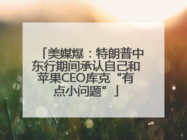 美媒爆：特朗普中东行期间承认自己和苹果CEO库克“有点小问题”