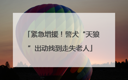 紧急增援！警犬“天狼”出动找到走失老人