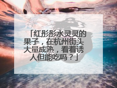 红彤彤水灵灵的果子，在杭州街头大量成熟，看着诱人但能吃吗？