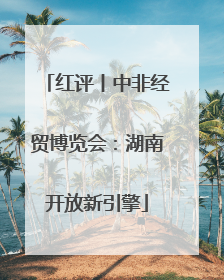 红评丨中非经贸博览会：湖南开放新引擎