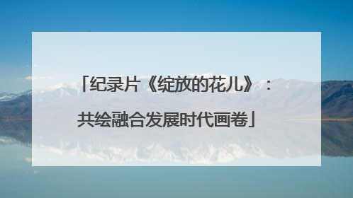 纪录片《绽放的花儿》：共绘融合发展时代画卷