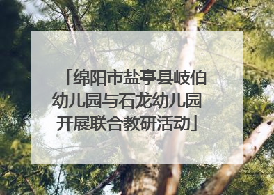 绵阳市盐亭县岐伯幼儿园与石龙幼儿园开展联合教研活动