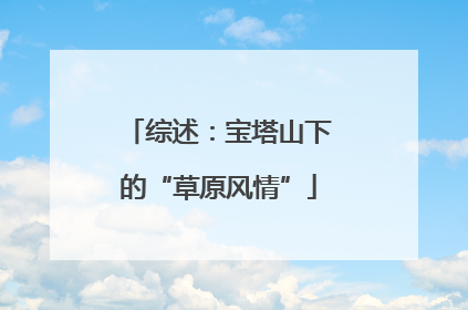 综述：宝塔山下的“草原风情”