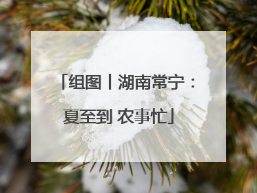 组图丨湖南常宁：夏至到 农事忙