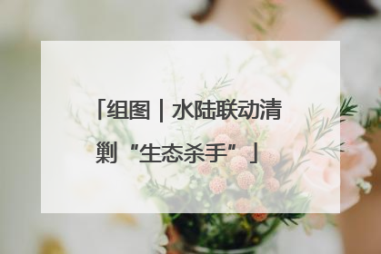 组图｜水陆联动清剿“生态杀手”