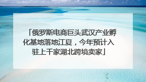 俄罗斯电商巨头武汉产业孵化基地落地江夏，今年预计入驻上千家湖北跨境卖家