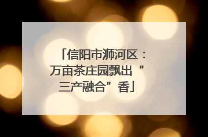 信阳市浉河区：万亩茶庄园飘出“三产融合”香