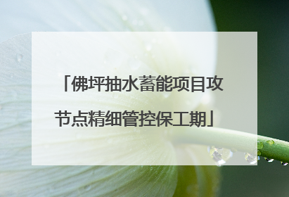 佛坪抽水蓄能项目攻节点精细管控保工期